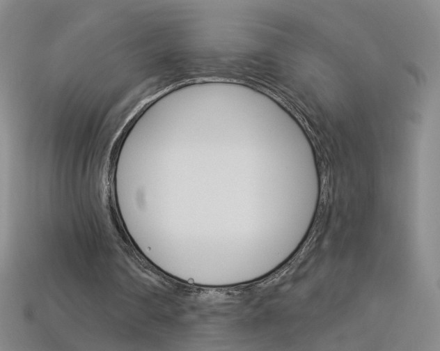 X0000114100290200910051236