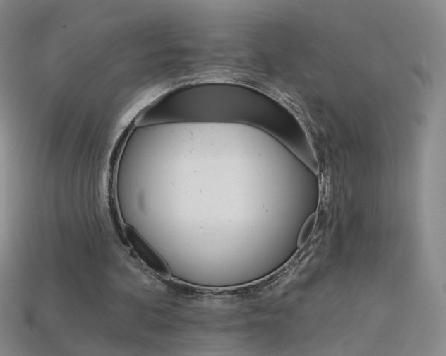 X0000114100292200910051236