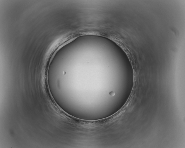 X0000114100293200910051236