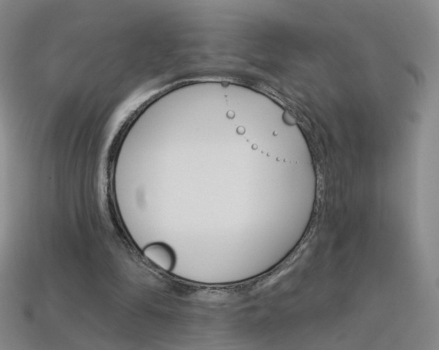 X0000114100294200910051236