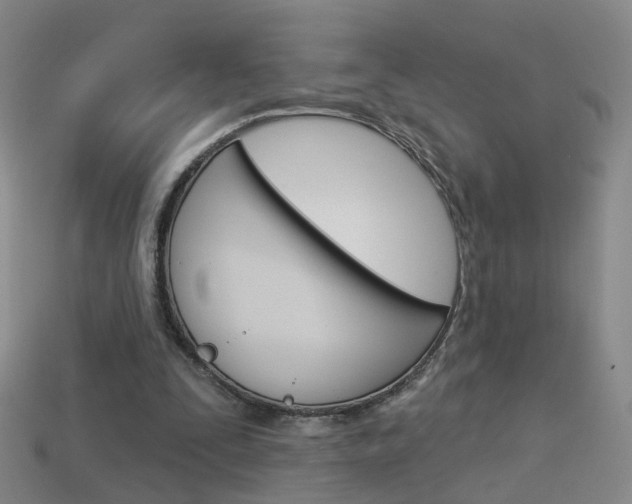 X0000114100295200910051236