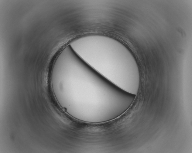 X0000114100299200910051236