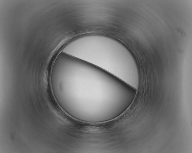 X0000114100300200910051236