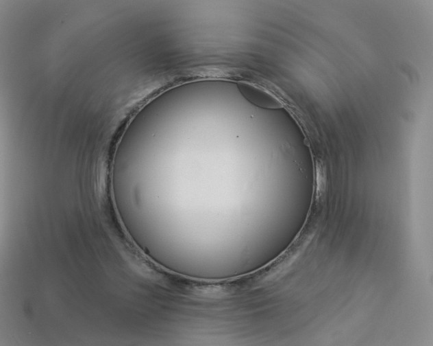 X0000114100301200910051236