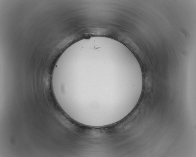 X0000114100305200910051236