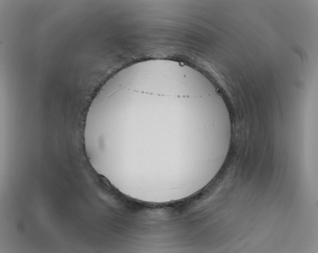 X0000114100307200910051236