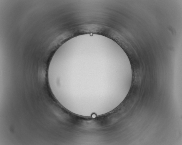 X0000114100309200910051236