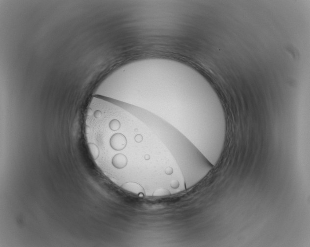 X0000114100311200910051236