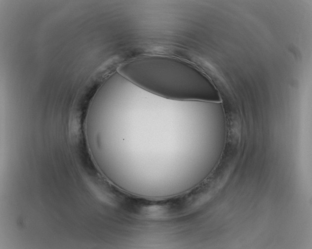 X0000114100312200910051236