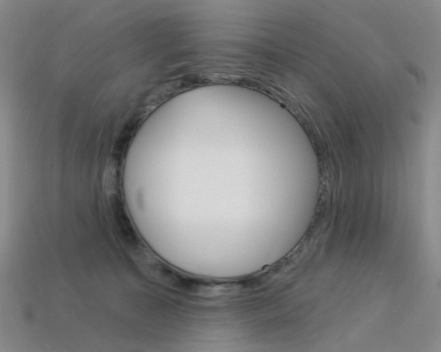 X0000114100323200910051236