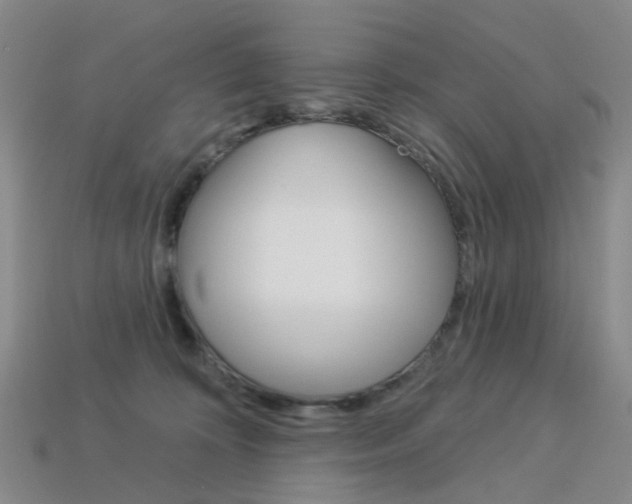 X0000114100324200910051236