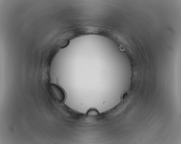 X0000114100325200910051236