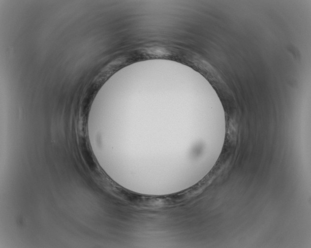 X0000114100330200910051236