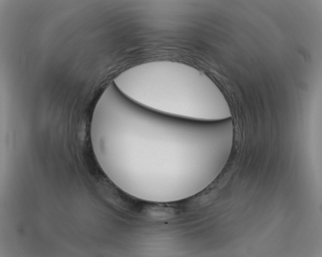 X0000114100331200910051236