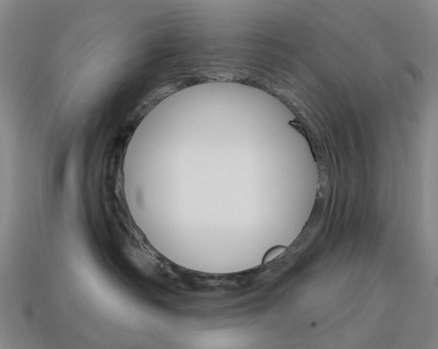 X0000114100334200910051236