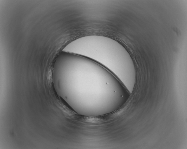 X0000114100336200910051235