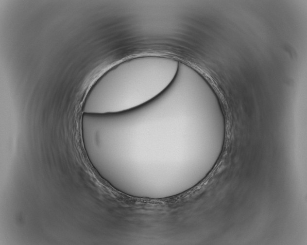 X0000114100337200910051235