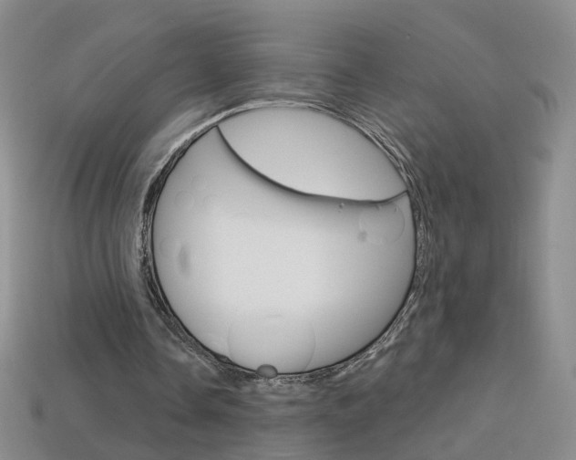 X0000114100338200910051235