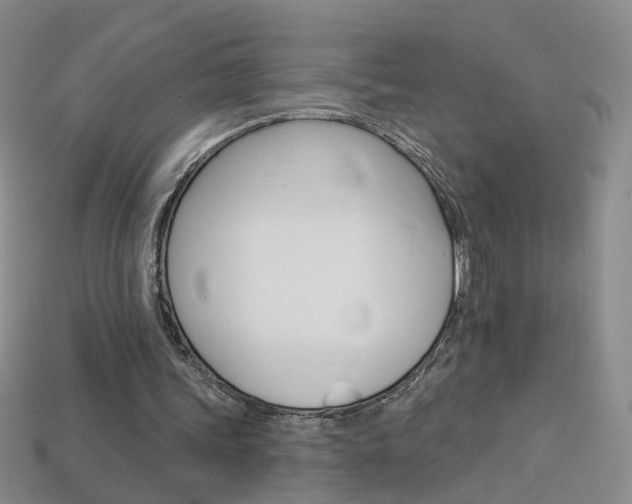 X0000114100339200910051235