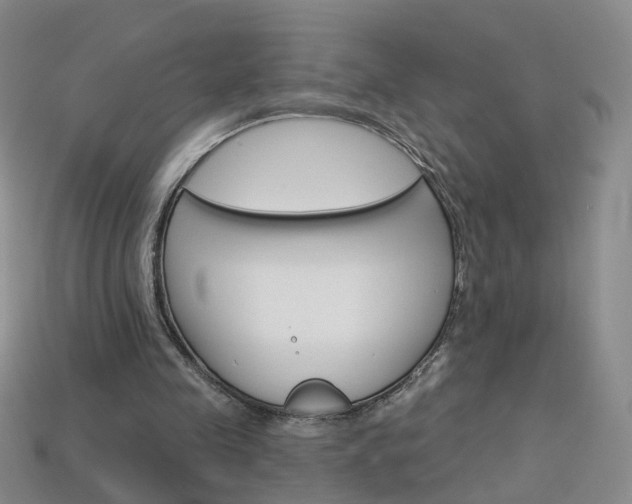 X0000114100341200910051235