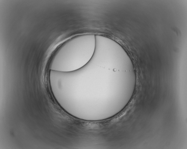 X0000114100343200910051235