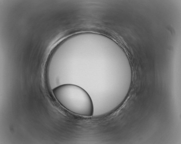 X0000114100344200910051235