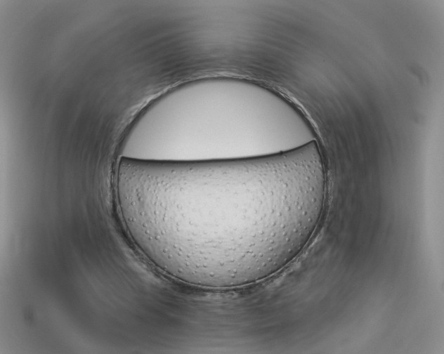 X0000114100345200910051235