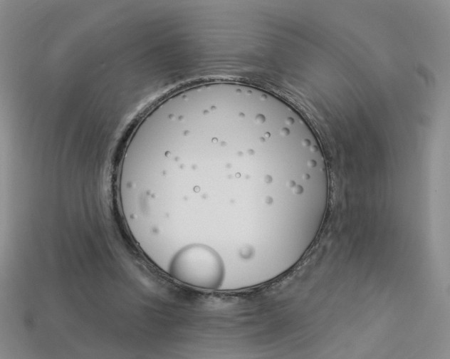 X0000114100346200910051235