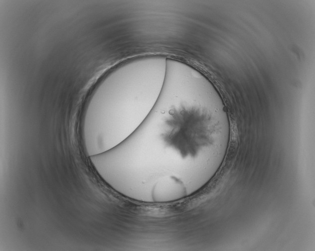 X0000114100347200910051235