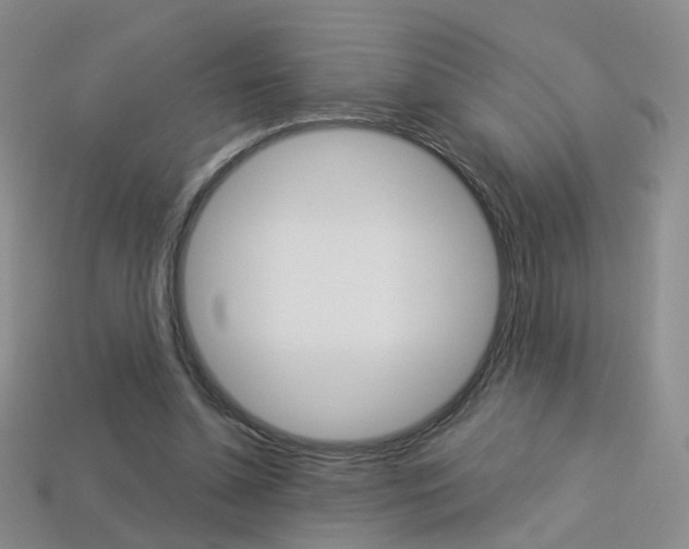 X0000114100348200910051235