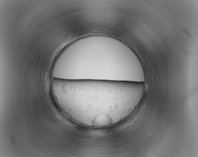 X0000114100349200910051235