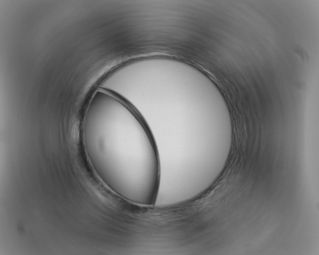 X0000114100350200910051235