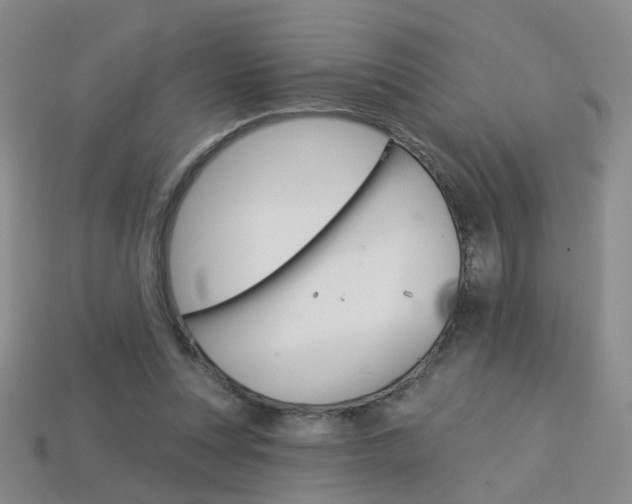 X0000114100351200910051235