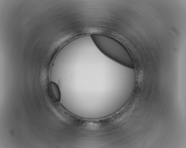 X0000114100352200910051235