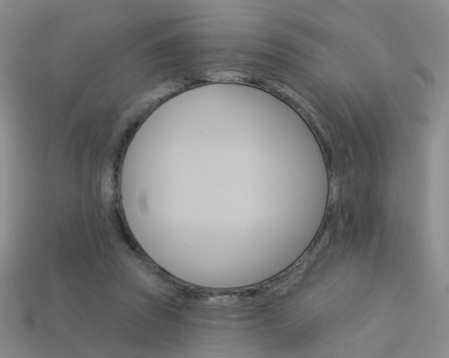 X0000114100353200910051235