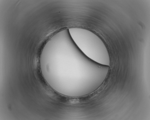 X0000114100355200910051235