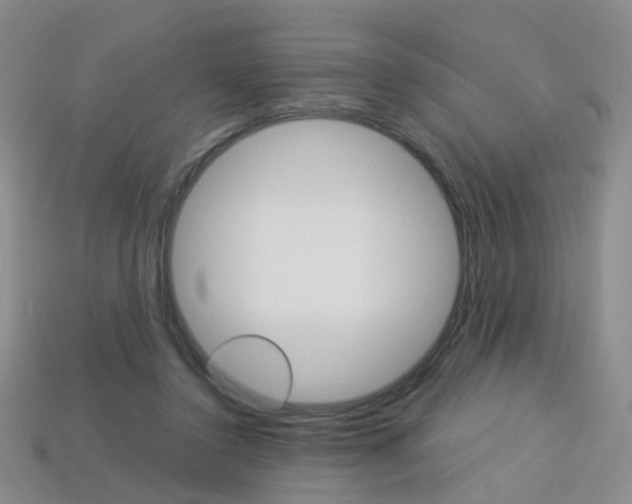 X0000114100356200910051235