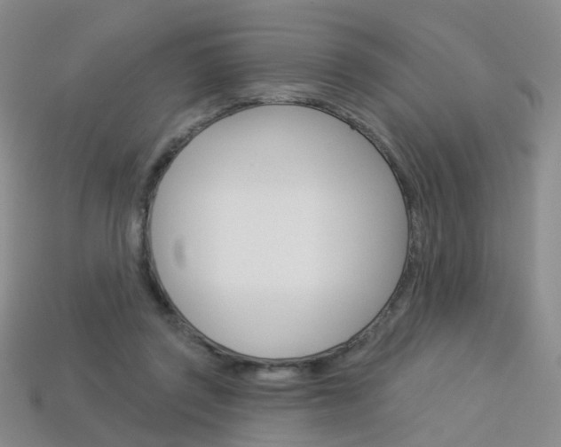 X0000114100357200910051235