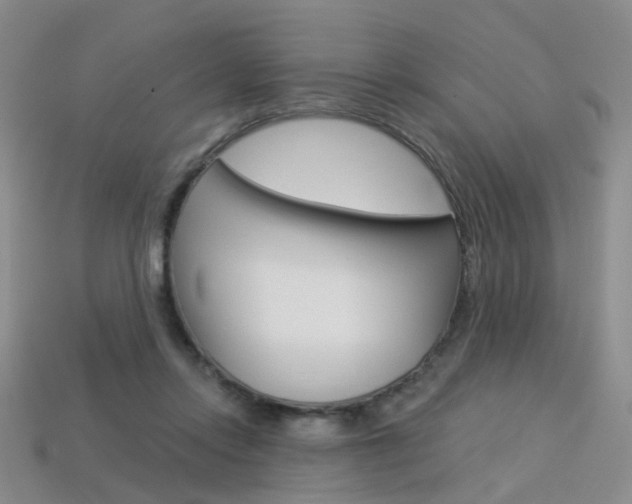 X0000114100358200910051235