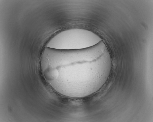 X0000114100359200910051235