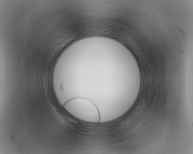 X0000114100360200910051235