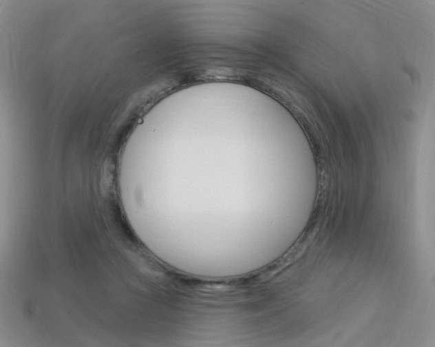 X0000114100361200910051235