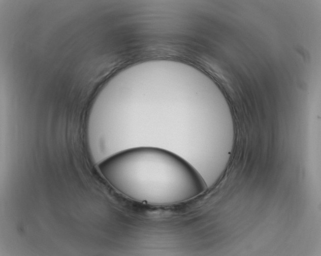 X0000114100362200910051235