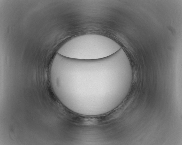 X0000114100363200910051235