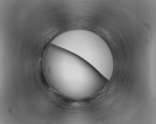 X0000114100364200910051235