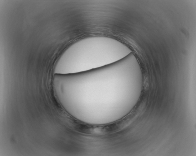 X0000114100365200910051235