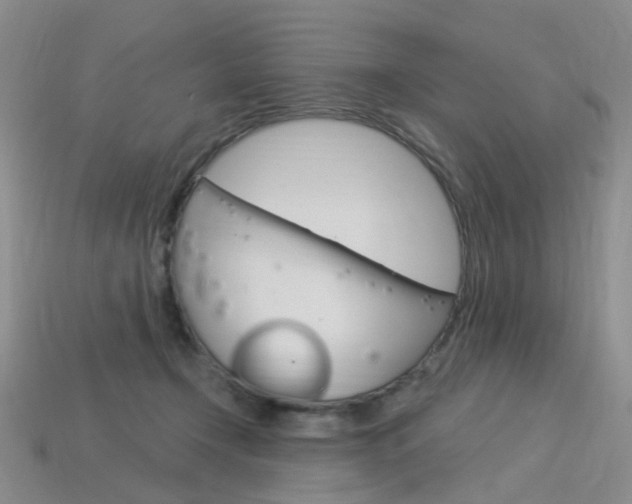 X0000114100366200910051235