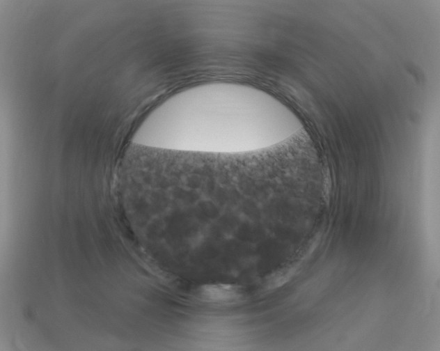 X0000114100367200910051235