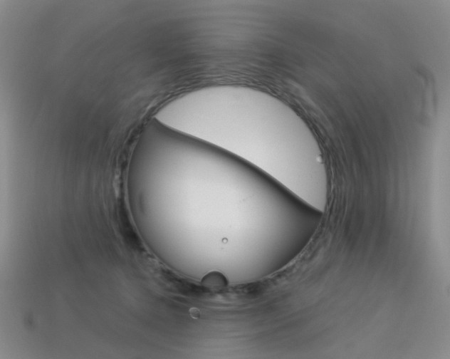 X0000114100368200910051235