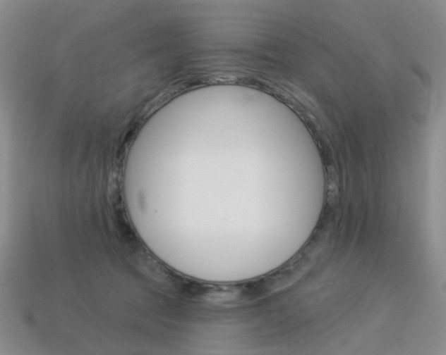 X0000114100369200910051235